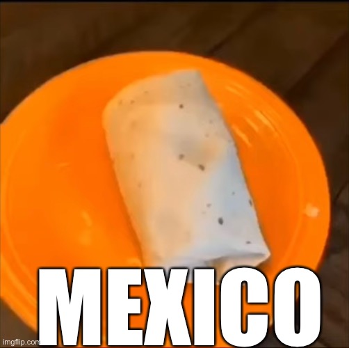 She thought Twitter was social media … | MEXICO | image tagged in burrito,country | made w/ Imgflip meme maker