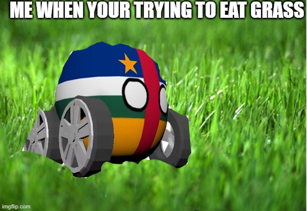 me when you eat grass | ME WHEN YOUR TRYING TO EAT GRASS | made w/ Imgflip meme maker