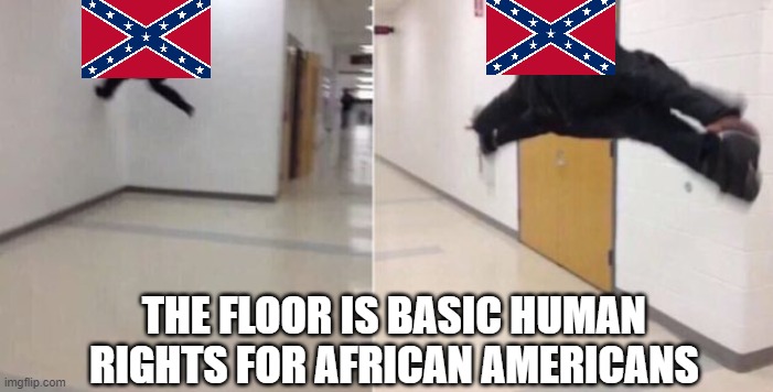 The floor is | THE FLOOR IS BASIC HUMAN RIGHTS FOR AFRICAN AMERICANS | image tagged in the floor is | made w/ Imgflip meme maker