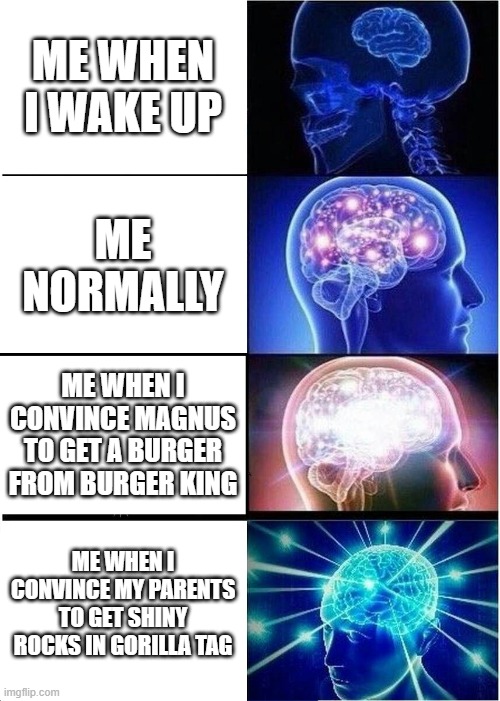 Expanding Brain Meme | ME WHEN I WAKE UP; ME NORMALLY; ME WHEN I CONVINCE MAGNUS TO GET A BURGER FROM BURGER KING; ME WHEN I CONVINCE MY PARENTS TO GET SHINY ROCKS IN GORILLA TAG | image tagged in memes,expanding brain | made w/ Imgflip meme maker