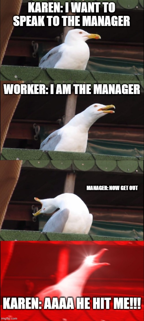 Karens if they dont get da wae | KAREN: I WANT TO SPEAK TO THE MANAGER; WORKER: I AM THE MANAGER; MANAGER: NOW GET OUT; KAREN: AAAA HE HIT ME!!! | image tagged in memes,inhaling seagull | made w/ Imgflip meme maker