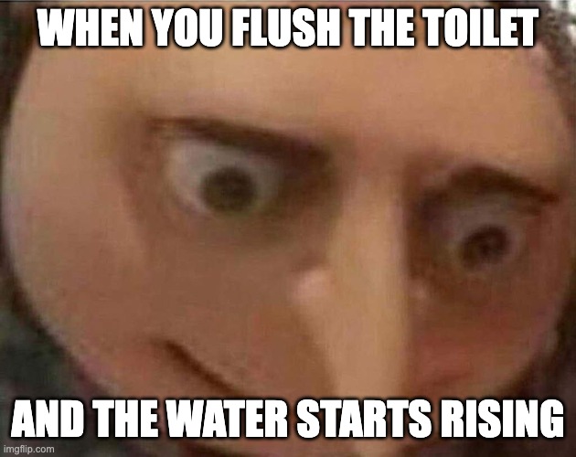 Run | WHEN YOU FLUSH THE TOILET; AND THE WATER STARTS RISING | image tagged in gru meme | made w/ Imgflip meme maker