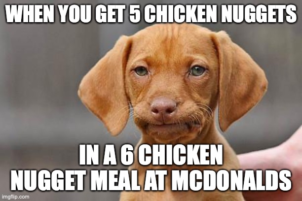 Dissapointed puppy | WHEN YOU GET 5 CHICKEN NUGGETS IN A 6 CHICKEN NUGGET MEAL AT MCDONALDS | image tagged in dissapointed puppy | made w/ Imgflip meme maker