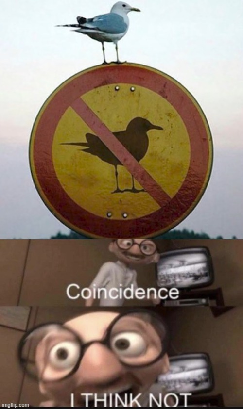 coincidence? I THINK NOT Meme Generator