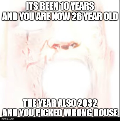 ITS BEEN 10 YEARS AND YOU ARE NOW 26 YEAR OLD THE YEAR ALSO 2032 AND YOU PICKED WRONG HOUSE | made w/ Imgflip meme maker