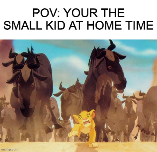 True story |  POV: YOUR THE SMALL KID AT HOME TIME | image tagged in lion king stampede,true story,memes | made w/ Imgflip meme maker