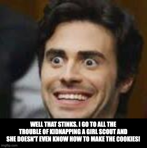 Girl scout | WELL THAT STINKS. I GO TO ALL THE TROUBLE OF KIDNAPPING A GIRL SCOUT AND SHE DOESN'T EVEN KNOW HOW TO MAKE THE COOKIES! | image tagged in that look you have | made w/ Imgflip meme maker