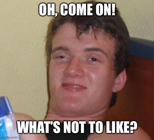 10 Guy Meme | OH, COME ON! WHAT’S NOT TO LIKE? | image tagged in memes,10 guy | made w/ Imgflip meme maker
