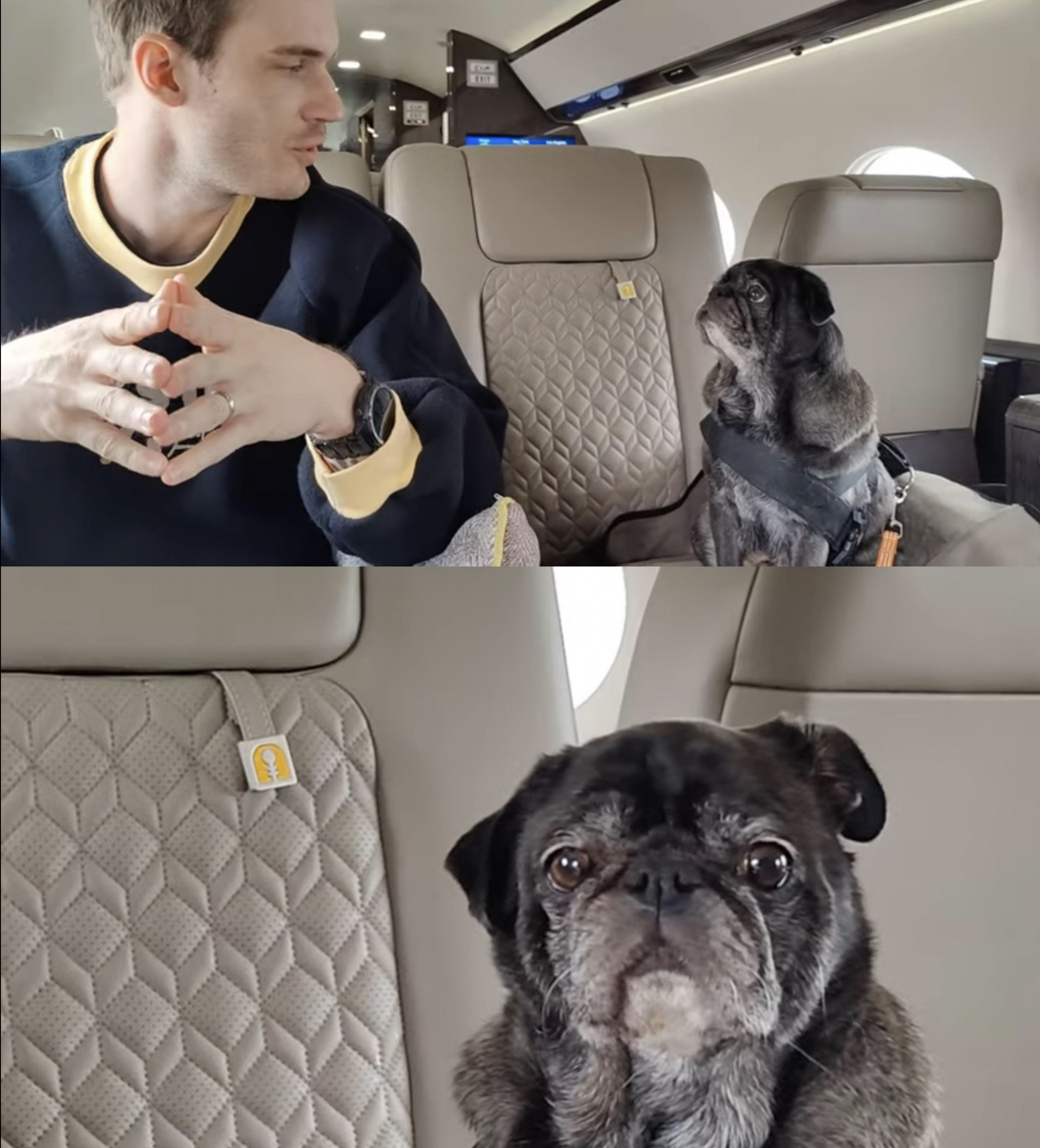 High Quality Pewds and Edgar Blank Meme Template