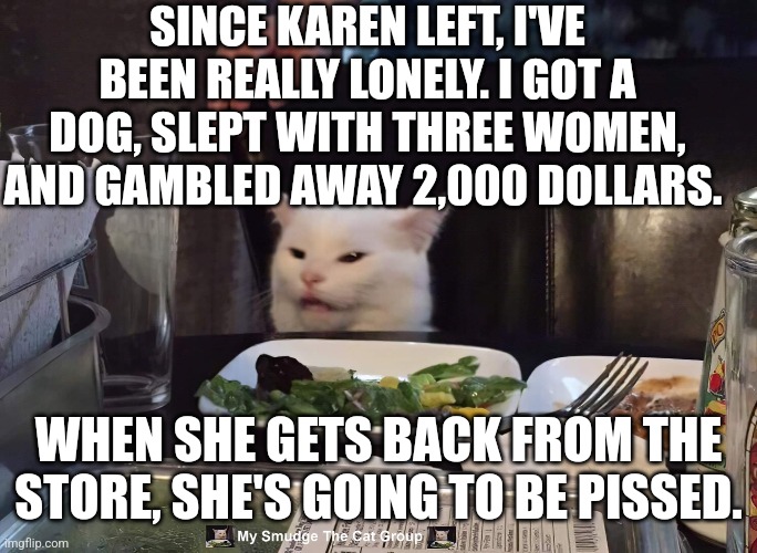 SINCE KAREN LEFT, I'VE BEEN REALLY LONELY. I GOT A DOG, SLEPT WITH THREE WOMEN, AND GAMBLED AWAY 2,000 DOLLARS. WHEN SHE GETS BACK FROM THE STORE, SHE'S GOING TO BE PISSED. | image tagged in smudge the cat | made w/ Imgflip meme maker