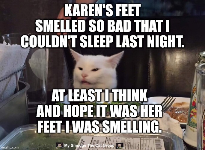KAREN'S FEET SMELLED SO BAD THAT I COULDN'T SLEEP LAST NIGHT. AT LEAST I THINK AND HOPE IT WAS HER FEET I WAS SMELLING. | image tagged in smudge the cat | made w/ Imgflip meme maker
