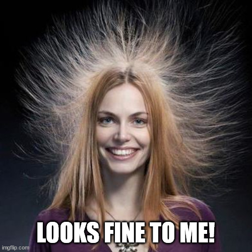 Static Hair | LOOKS FINE TO ME! | image tagged in static hair | made w/ Imgflip meme maker