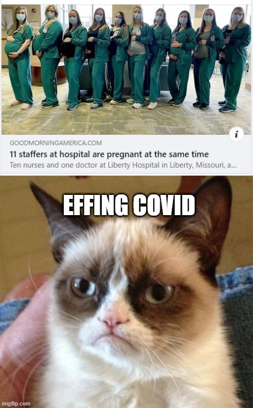 Way to Coordinate | EFFING COVID | image tagged in memes,grumpy cat | made w/ Imgflip meme maker