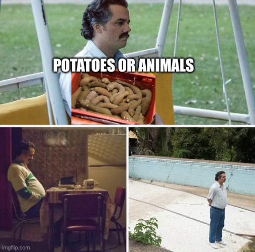 Sad Pablo Escobar | POTATOES OR ANIMALS | image tagged in memes,sad pablo escobar | made w/ Imgflip meme maker