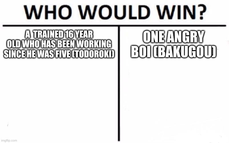 Who Would Win? |  A  TRAINED 16 YEAR OLD WHO HAS BEEN WORKING SINCE HE WAS FIVE (TODOROKI); ONE ANGRY BOI (BAKUGOU) | image tagged in memes,who would win | made w/ Imgflip meme maker