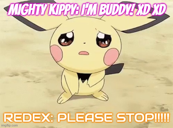 PLEASE STOP!!!!! | MIGHTY KIPPY: I'M BUDDY! XD XD REDEX: PLEASE STOP!!!!! | image tagged in sad pichu,stop | made w/ Imgflip meme maker