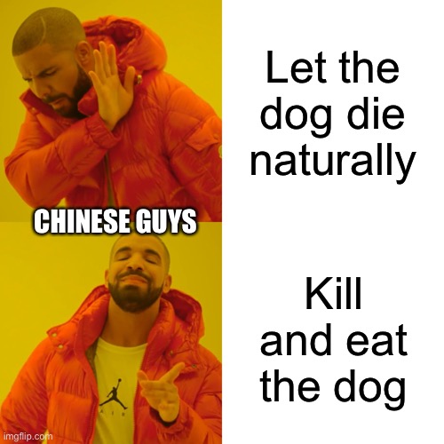 Stop it!!! | Let the dog die naturally; CHINESE GUYS; Kill and eat the dog | image tagged in memes,drake hotline bling | made w/ Imgflip meme maker