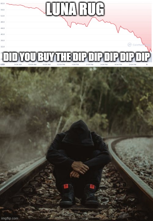 LUNA RUG; DID YOU BUY THE DIP DIP DIP DIP DIP | made w/ Imgflip meme maker