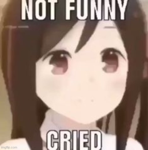 not funny. cried | image tagged in not funny cried | made w/ Imgflip meme maker