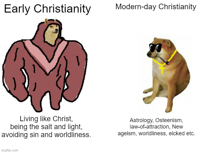 Buff Doge vs. Cheems Meme | Early Christianity; Modern-day Christianity; Living like Christ, being the salt and light, avoiding sin and worldliness. Astrology, Osteenism, law-of-attraction, New ageism, worldliness, eicked etc. | image tagged in memes,buff doge vs cheems | made w/ Imgflip meme maker