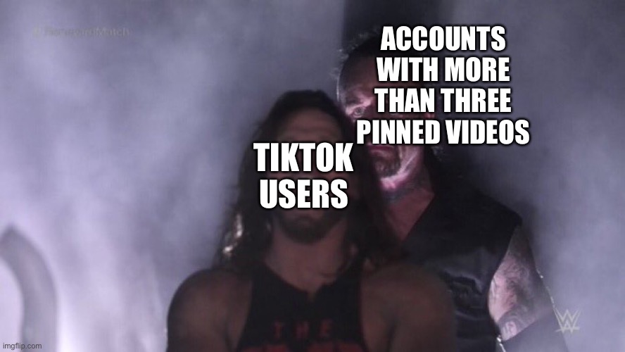 It’s true tho | ACCOUNTS WITH MORE THAN THREE PINNED VIDEOS; TIKTOK USERS | image tagged in aj styles undertaker,tiktok | made w/ Imgflip meme maker