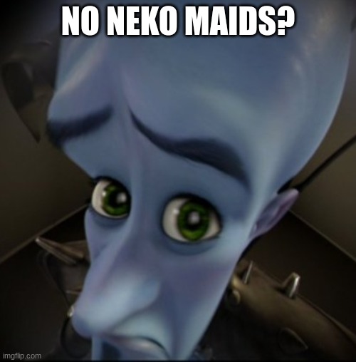 No neko maids? | NO NEKO MAIDS? | image tagged in mega mind | made w/ Imgflip meme maker