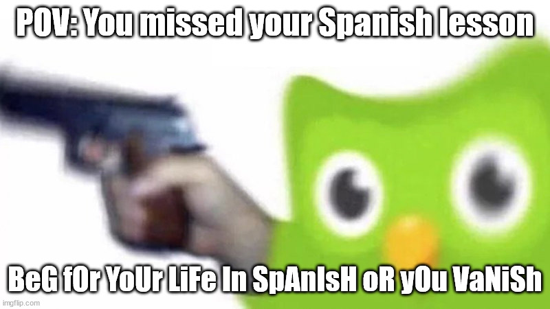duolingo gun |  POV: You missed your Spanish lesson; BeG fOr YoUr LiFe In SpAnIsH oR yOu VaNiSh | image tagged in duolingo gun | made w/ Imgflip meme maker