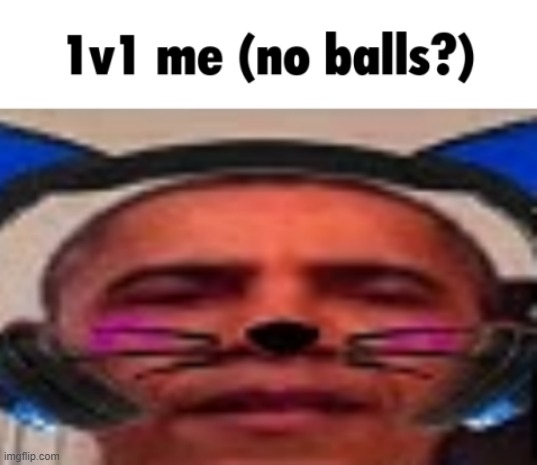 1v1 me (no balls?) | image tagged in 1v1 me no balls | made w/ Imgflip meme maker