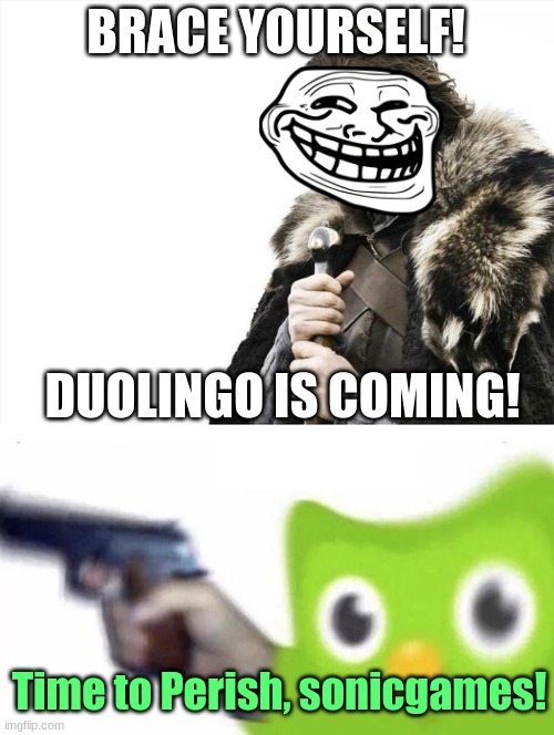 duolingo memes are too much | BRACE YOURSELF! DUOLINGO IS COMING! Time to Perish, sonicgames! | image tagged in memes,brace yourselves x is coming,duolingo gun | made w/ Imgflip meme maker