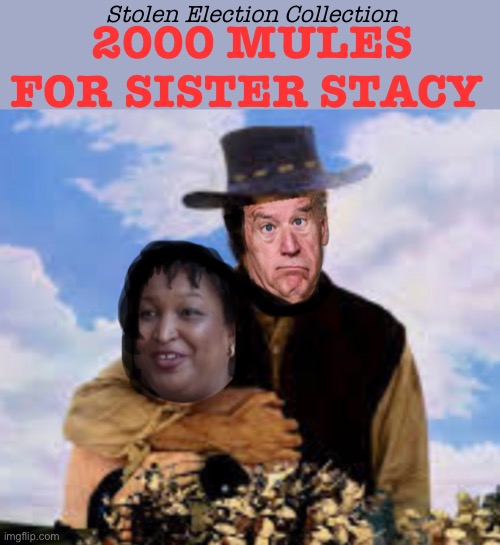 Stolen Election Collection; 2000 MULES FOR SISTER STACY | image tagged in politics lol,memes | made w/ Imgflip meme maker