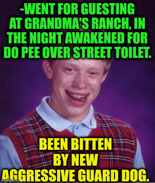 -Dangers at the darkness. |  -WENT FOR GUESTING AT GRANDMA'S RANCH, IN THE NIGHT AWAKENED FOR DO PEE OVER STREET TOILET. BEEN BITTEN BY NEW AGGRESSIVE GUARD DOG. | image tagged in memes,bad luck brian,sure grandma,toilet humor,pepperidge farm remembers,raydog | made w/ Imgflip meme maker