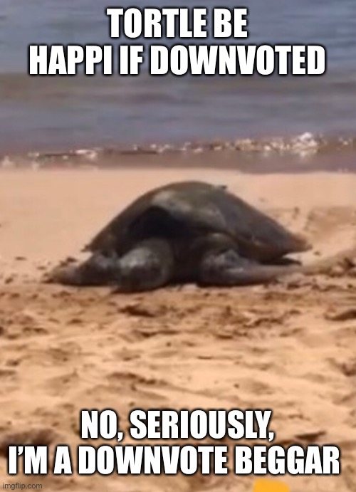 TORTLE BE HAPPI IF DOWNVOTED; NO, SERIOUSLY, I’M A DOWNVOTE BEGGAR | image tagged in you have been eternally cursed for reading the tags | made w/ Imgflip meme maker