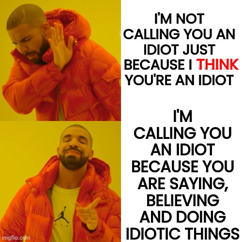 The Truth Hurts | I'M CALLING YOU AN IDIOT BECAUSE YOU ARE SAYING, BELIEVING AND DOING IDIOTIC THINGS; I'M NOT CALLING YOU AN IDIOT JUST BECAUSE I THINK YOU'RE AN IDIOT; THINK | image tagged in memes,drake hotline bling,honesty,the truth,reality,grow up | made w/ Imgflip meme maker