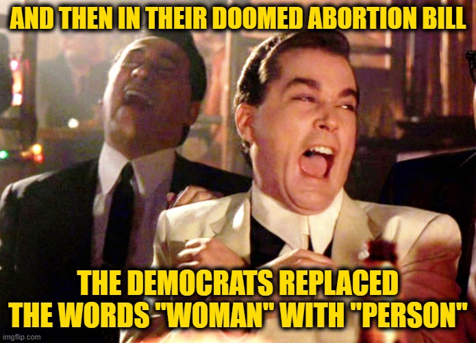 Good Fellas Hilarious | AND THEN IN THEIR DOOMED ABORTION BILL; THE DEMOCRATS REPLACED THE WORDS "WOMAN" WITH "PERSON" | image tagged in memes,good fellas hilarious | made w/ Imgflip meme maker