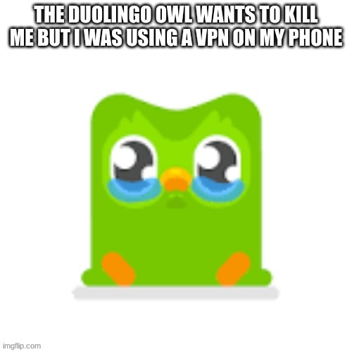 CANT GET ME NOW | image tagged in duolingo | made w/ Imgflip meme maker
