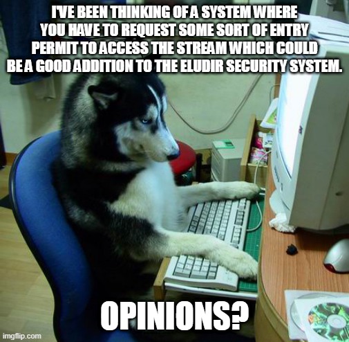 I Have No Idea What I Am Doing Meme | I'VE BEEN THINKING OF A SYSTEM WHERE YOU HAVE TO REQUEST SOME SORT OF ENTRY PERMIT TO ACCESS THE STREAM WHICH COULD BE A GOOD ADDITION TO THE ELUDIR SECURITY SYSTEM. OPINIONS? | image tagged in memes,i have no idea what i am doing | made w/ Imgflip meme maker