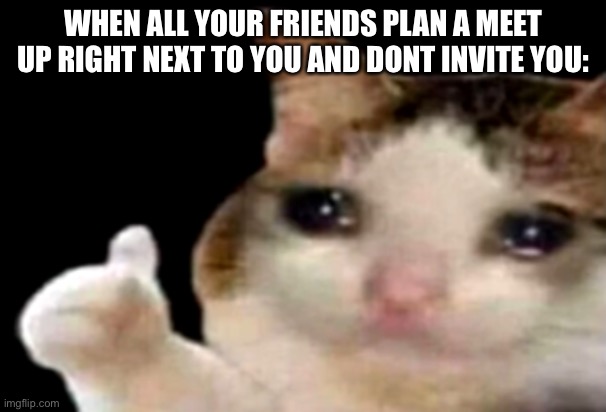 :’) | WHEN ALL YOUR FRIENDS PLAN A MEET UP RIGHT NEXT TO YOU AND DONT INVITE YOU: | image tagged in sad cat thumbs up | made w/ Imgflip meme maker