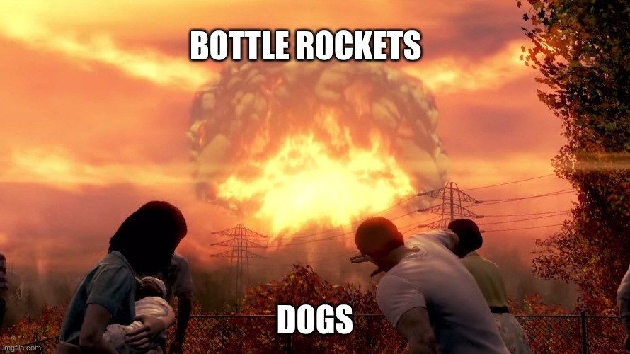 almost that time | BOTTLE ROCKETS; DOGS | image tagged in fallout 4 mushroom cloud | made w/ Imgflip meme maker