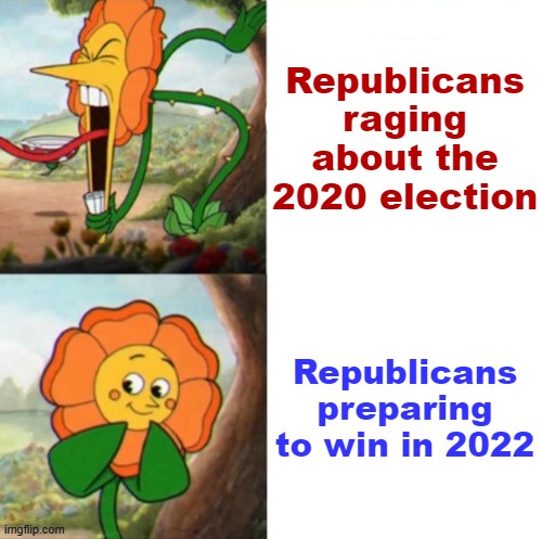 Yelling sunflower fixed textboxes | Republicans raging about the 2020 election; Republicans preparing to win in 2022 | image tagged in yelling sunflower fixed textboxes | made w/ Imgflip meme maker