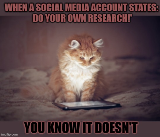 This #lolcat wonders why people who claim they do their own research never do |  WHEN A SOCIAL MEDIA ACCOUNT STATES:
 DO YOUR OWN RESEARCH!'; YOU KNOW IT DOESN'T | image tagged in research,lolcat,social media,twitter,facebook,conspiracy | made w/ Imgflip meme maker
