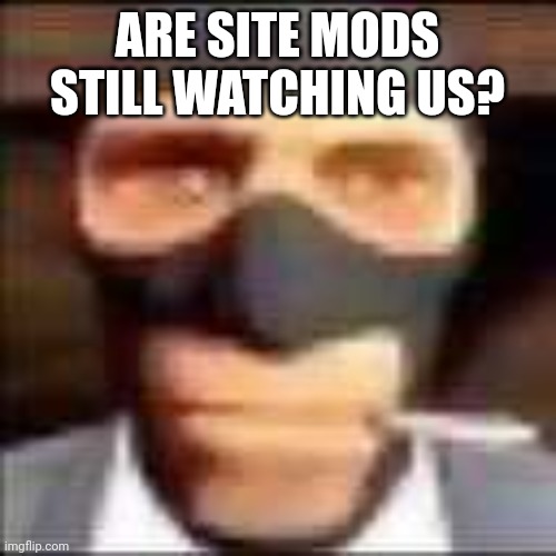 just a question | ARE SITE MODS STILL WATCHING US? | image tagged in spi | made w/ Imgflip meme maker