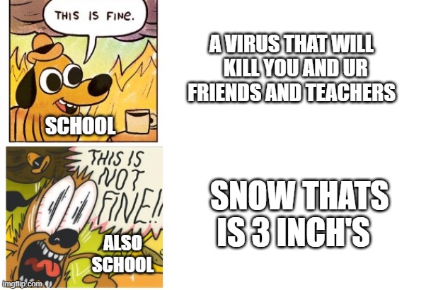 This is Fine, This is Not Fine | A VIRUS THAT WILL   KILL YOU AND UR FRIENDS AND TEACHERS; SCHOOL; SNOW THATS IS 3 INCH'S; ALSO SCHOOL | image tagged in this is fine this is not fine | made w/ Imgflip meme maker