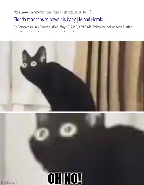 t | OH NO! | image tagged in oh no black cat | made w/ Imgflip meme maker
