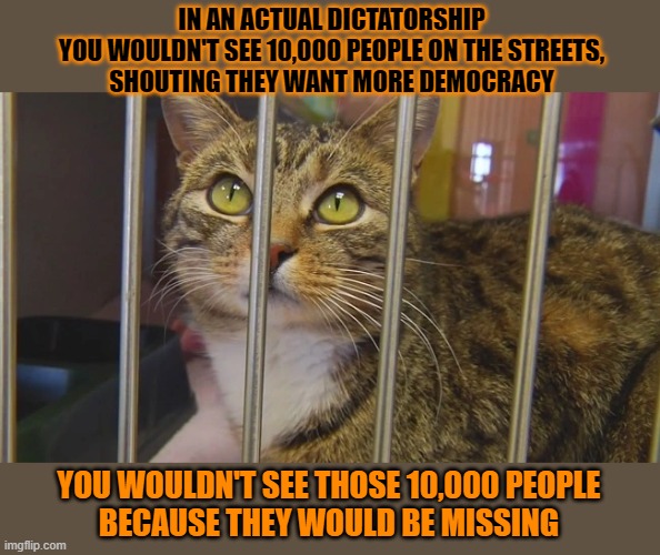 This #lolcat wonders why people who live in an actual democracy think they don't |  IN AN ACTUAL DICTATORSHIP
YOU WOULDN'T SEE 10,000 PEOPLE ON THE STREETS,
SHOUTING THEY WANT MORE DEMOCRACY; YOU WOULDN'T SEE THOSE 10,000 PEOPLE
BECAUSE THEY WOULD BE MISSING | image tagged in democracy,lolcat,think about it,dictator | made w/ Imgflip meme maker