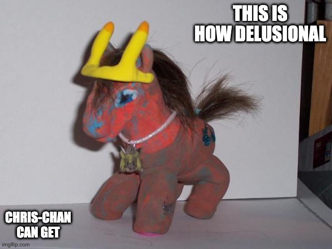 Chris-Chan Pony | THIS IS HOW DELUSIONAL; CHRIS-CHAN CAN GET | image tagged in my little pony,chris-chan,memes | made w/ Imgflip meme maker
