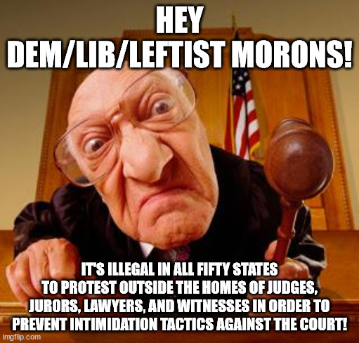 Of course they don't give a rat's arse about the law anyway. | HEY DEM/LIB/LEFTIST MORONS! IT'S ILLEGAL IN ALL FIFTY STATES TO PROTEST OUTSIDE THE HOMES OF JUDGES, JURORS, LAWYERS, AND WITNESSES IN ORDER TO PREVENT INTIMIDATION TACTICS AGAINST THE COURT! | image tagged in mean judge,liberal hypocrisy,law,stupid liberals,politics | made w/ Imgflip meme maker