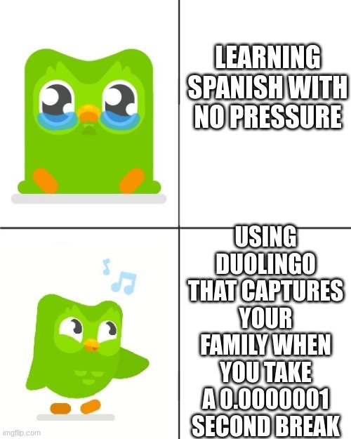 Duolingo Drake meme |  LEARNING SPANISH WITH NO PRESSURE; USING DUOLINGO THAT CAPTURES YOUR FAMILY WHEN YOU TAKE A 0.0000001 SECOND BREAK | image tagged in duolingo drake meme | made w/ Imgflip meme maker