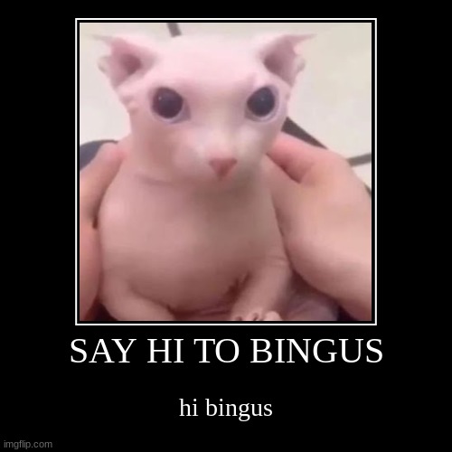 do it | image tagged in funny,demotivationals | made w/ Imgflip demotivational maker