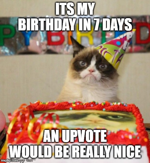 theres a diffrence between upvote begging and "an upvote would be nice" |  ITS MY BIRTHDAY IN 7 DAYS; AN UPVOTE WOULD BE REALLY NICE | image tagged in memes,grumpy cat birthday,grumpy cat | made w/ Imgflip meme maker