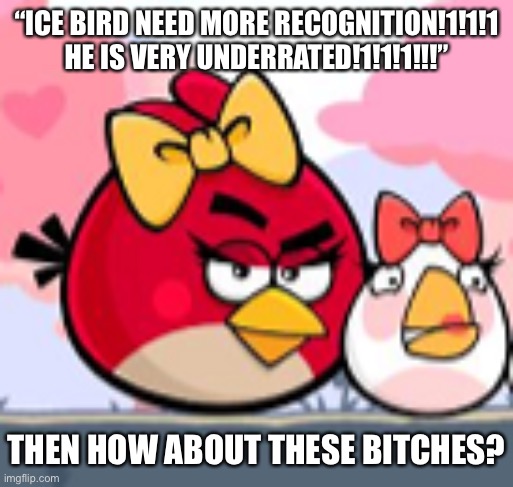 The bitches | “ICE BIRD NEED MORE RECOGNITION!1!1!1 HE IS VERY UNDERRATED!1!1!1!!!”; THEN HOW ABOUT THESE BITCHES? | image tagged in angry birds | made w/ Imgflip meme maker